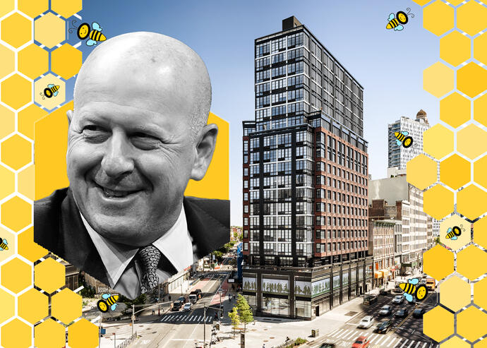 Oh, honey: Goldman Sachs to add beehives to real estate assets across U.S.